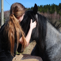 Cowgirls First Love