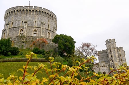 Windsor Castle, England - kingdom, ancient, big tower, walls, building