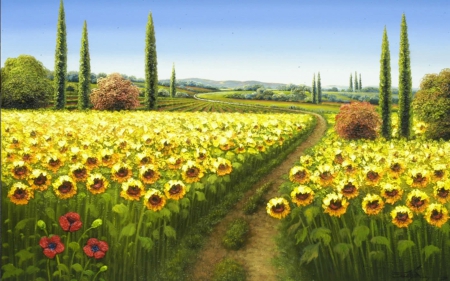 sunflower field - road, field, sunflower, tree