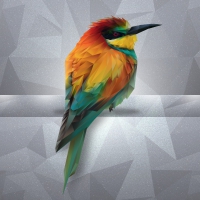 Polygonal Bird