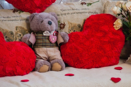 Teddy Love - teddybear, red, love, cushion