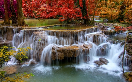 Forest Waterfall - natue, forest, waterfall, rocks