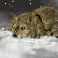 PAINTED WOLF
