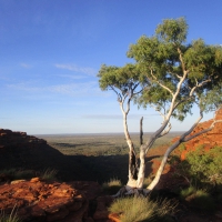 King Canyon