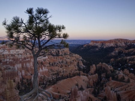 lone tree - nature, fun, cool, desert, tree, mountains