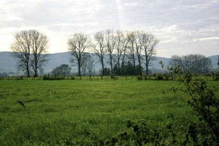 Minden, Germany - germany, cool, field, fun, nature