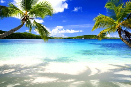 Tropical Beach