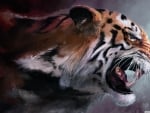 angry tiger