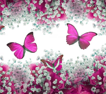 Pink butterflies - nice, nature, butterfly, colorful, animal, color, new