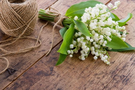 Flowers - flowers, nature, lily of the valley, soft