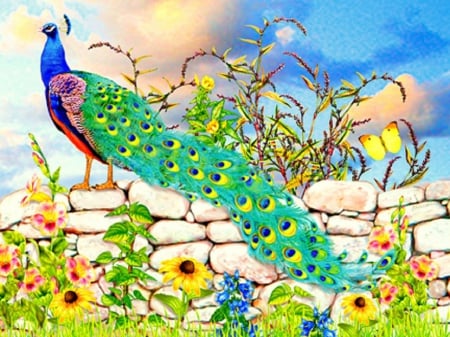 Gallant Peacock - flowers, Gallant Peacock, stone wall, painting