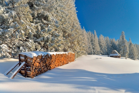 * Winter * - winter, trees, nature, snow