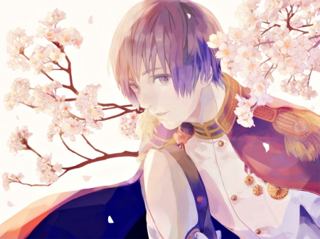 Spring - anime, blossom, cherry, spring, boy, manga, white, hetalia japam sakura, art, coppun