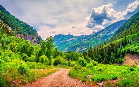 ROAD to the MOUNTAIN - sky, trees, landscape, mountains, road, nature, forest, beautiful, clouds, splendor