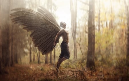 Fallen angel - feather, forest, creative, man, tree, fallen angel, fantasy, wings, situation, demon, woods