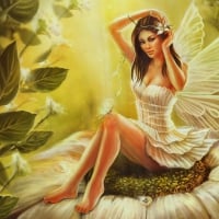 fairy beautiful