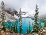 Winter Scene of Moraine Lake