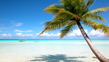 Tahiti Beach - summer, Tahiti, vavation, beach, SkyPhoenixX1, holiday, paradise, tropic, sky, sun, clouds, palms, trees, water, sea, sunshine, ocean, tree, palm, boats, nature, season, tropical