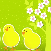 Chicks and Blossoms