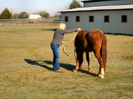 Steady Now - style, girls, western, women, models, ranch, cowgirls, horses, fun, female, barns, boots, blondes