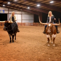 Cowgirls & Longhorns