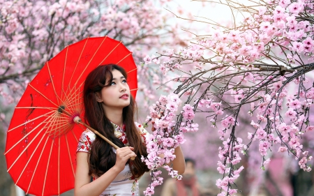 Spring Blossoms - trees, branches, blossoms, girl, flowers, umbrella, parasol, Spring, brunette