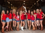 Budweiser Cowgirls