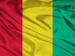 guinea flag