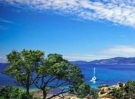 The summer jaunt - The summer jaunt, beach, boat, sea, tree