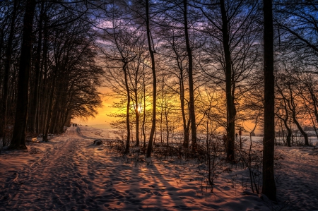 Winter Sunset - sky, trees, winter, sunset, path, nature, forest, winter time, woods, walk, snow, clouds