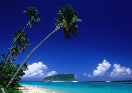 Green lagoon - palms, beach, ocean, green lagoon