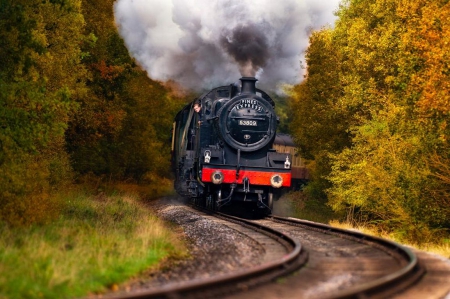 North Yorkshire Moors Railways - forest, locomotive, trees, steam, england