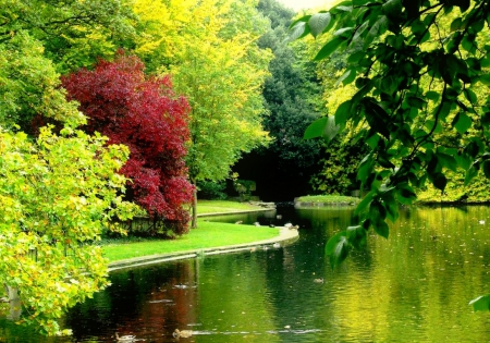 Spring park - forest, greenery, beautiful, spring, serenity, branches, lake, pond, trees, park, tranquil