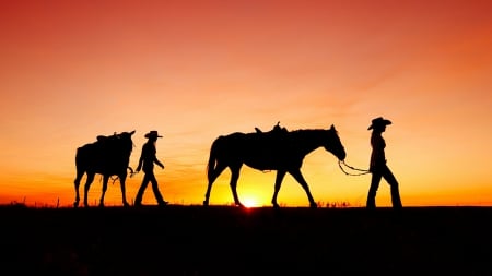 Sunset Walk - hats, silhouette, fence, silhouettes, cowgirls, sunset, horses, field, sun, sky