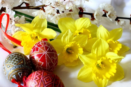 Spring~Easter - easter, blossoms, flowers, spring, daffodils, eggs