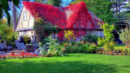 Spring in Countryside - trees, garden, spring, photo, cottage