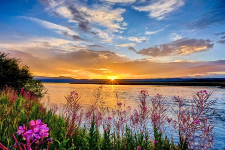 Snake River At Sunset - clouds, water, yellow, blue, beautiful, pink, flowers, Idaho, river, sunset, green, sky