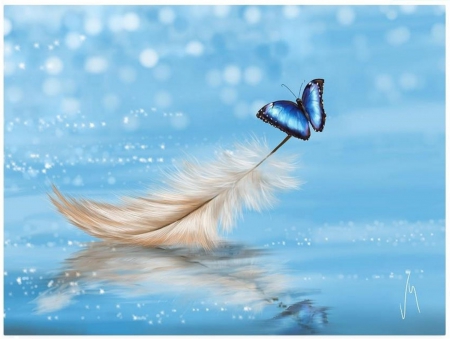 LIGHTNESS - white, softness, butterfly, blue, feather, lightness