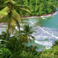 Exotic Island