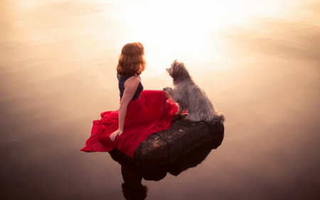 A Girl And Her Dog - animal, cool, people, fun, beach, dog