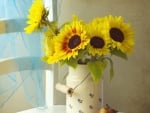 Sunflowers