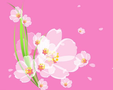 Floral Art - draw, flowers, art, pink