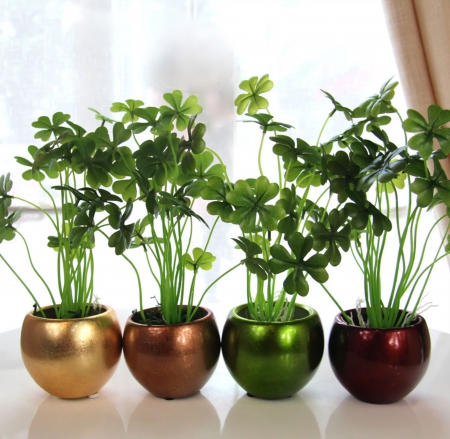 âœ¿~âœ¿ - four pots, pots, flowers, metallic colors, window, clover, plants, inside, green