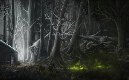 Enchanted forest - forest, magical, tree, black, white, green, enchanted, cottage, woods