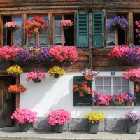 Flower House