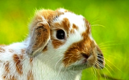 Bunny - rabbit, spring, bunny, fractal