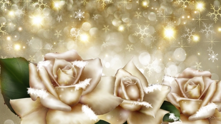 Champagne Winter Roses - glow, stars, roses, winter, flowers, snowflakes