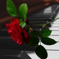 ~*~ Piano Red Rose ~*~