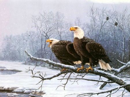 Eagle pair near snowy river - side, eagles, animals, winter, nature, pair, art, wild, snow, river, wild life, birds