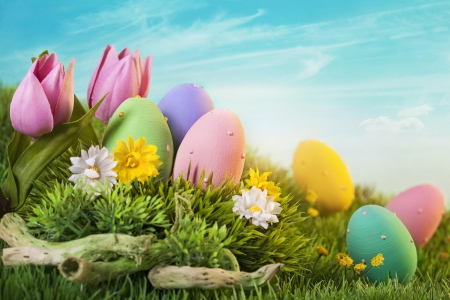 Easter Eggs - tulips, flowers, spring, eggs, grass, easter, sky, hill, clouds, daisies